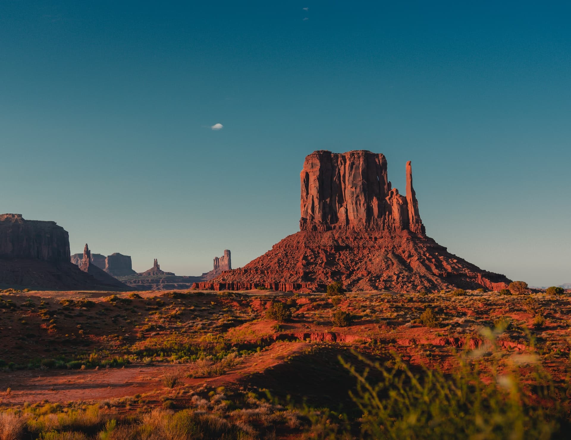 Arizona image